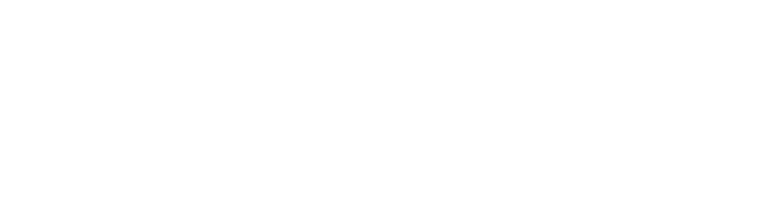 社員の80%以上が未経験からのスタート